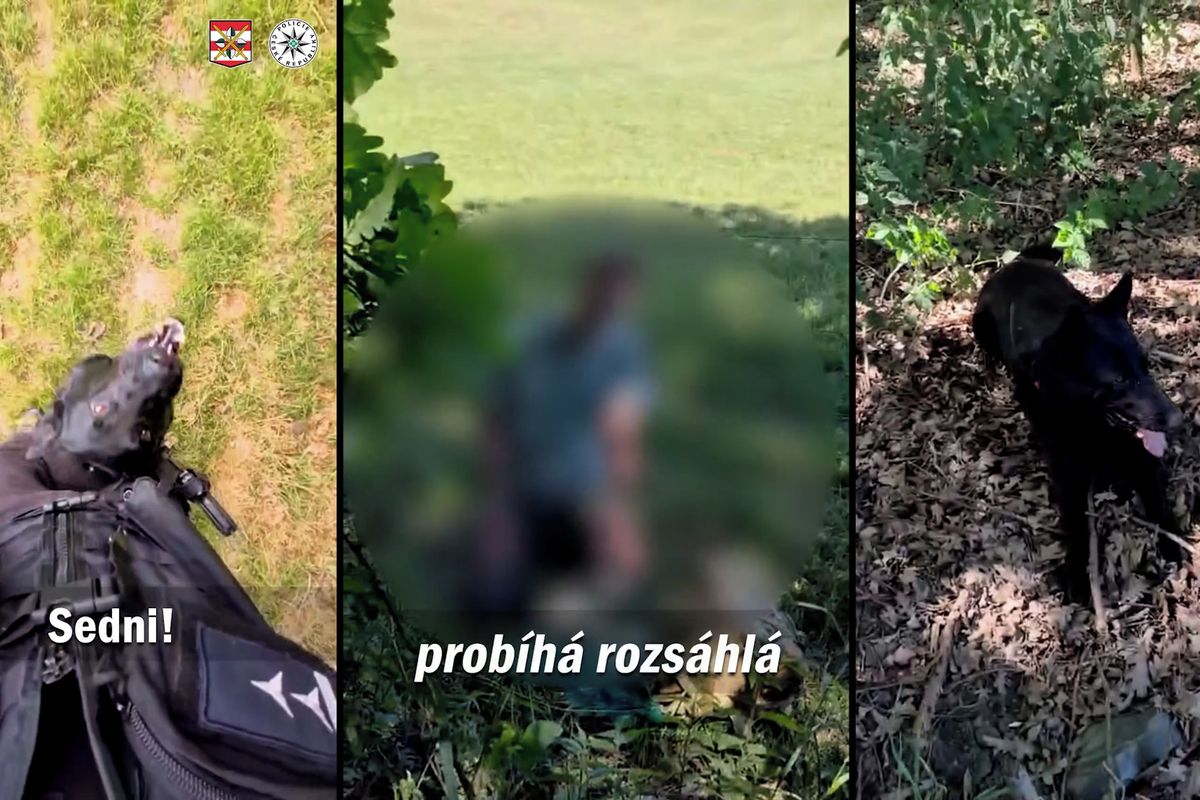 Zajímal se o přežití a utekl do lesa. Pohřešovaného chlapce na Vyškovsku našel policejní pes