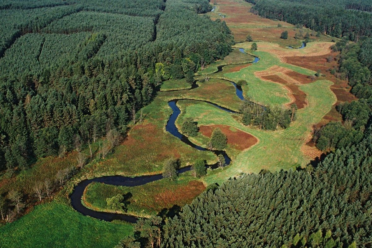 Klikatící se Ploučnice se stala přírodní rezervací. Ochrání ohroženou vážku i mlže hrachovku