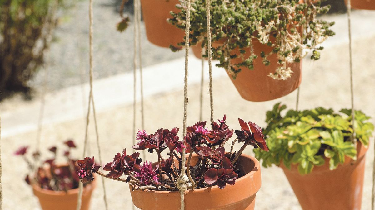 Inspirujte se hravými nápady z květináčů: panáček, kaskáda i hmyzí hotel