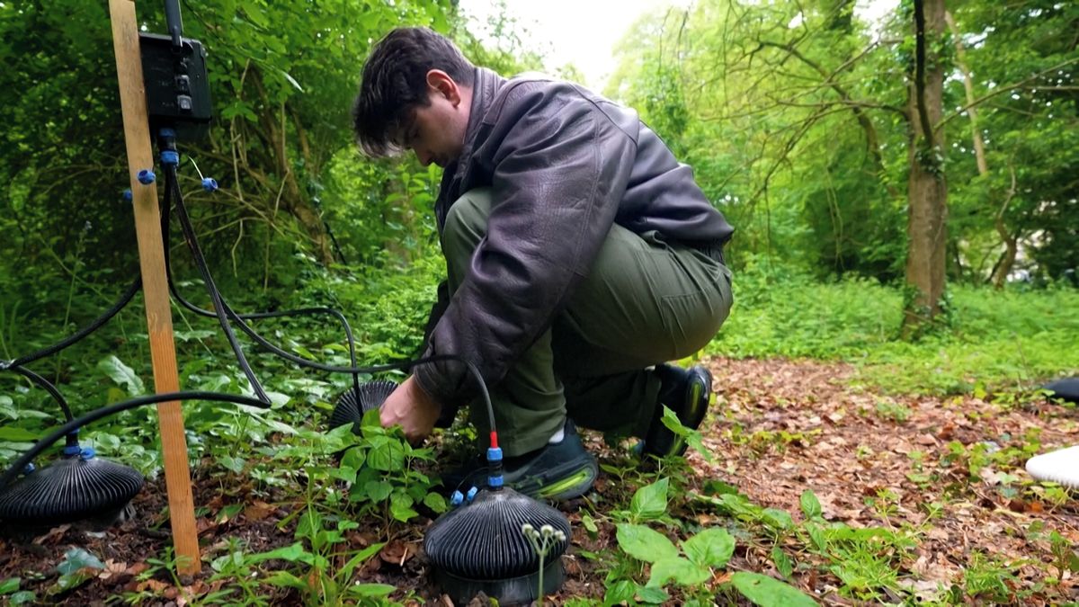 Baterie na bakterie: Elektřinu si jednou možná budeme sklízet na zahradě
