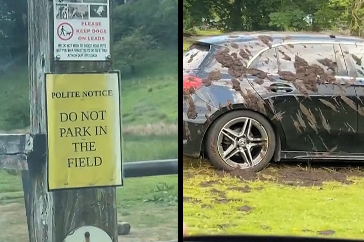 Britskému farmáři došla trpělivost, cizí auta parkující na jeho pozemku pohnojil