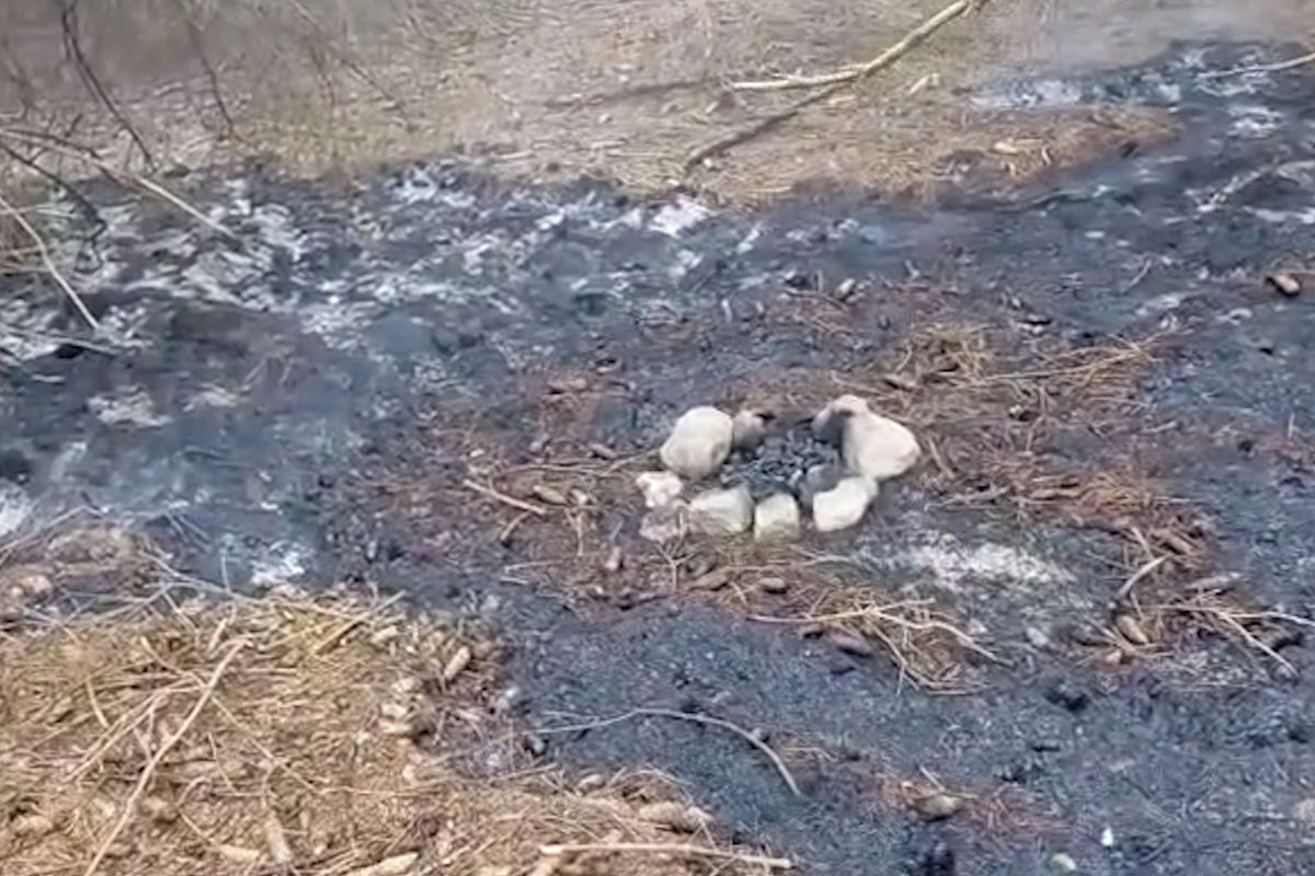 Strážci národního parku našli v Labských pískovcích opuštěné doutnající ohniště
