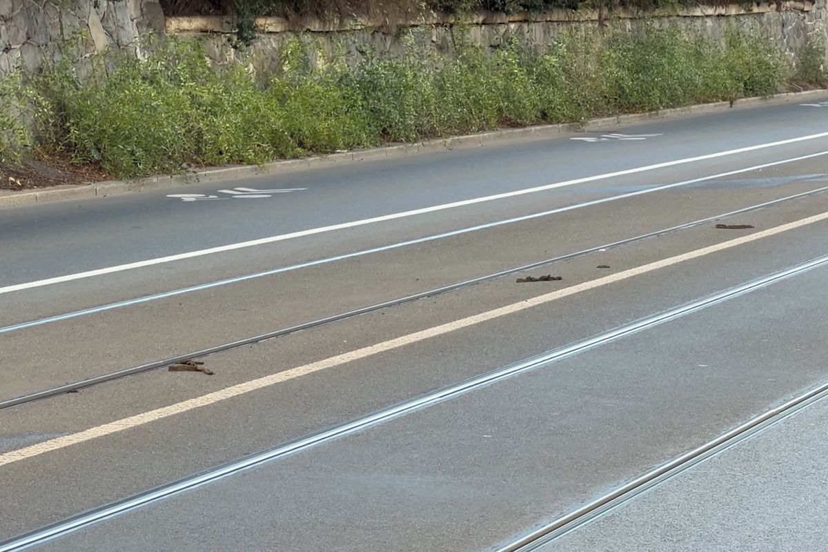 Kvůli vedrům nejezdí pražské tramvaje přes Čechův most a mezi Florencí a Palmovkou