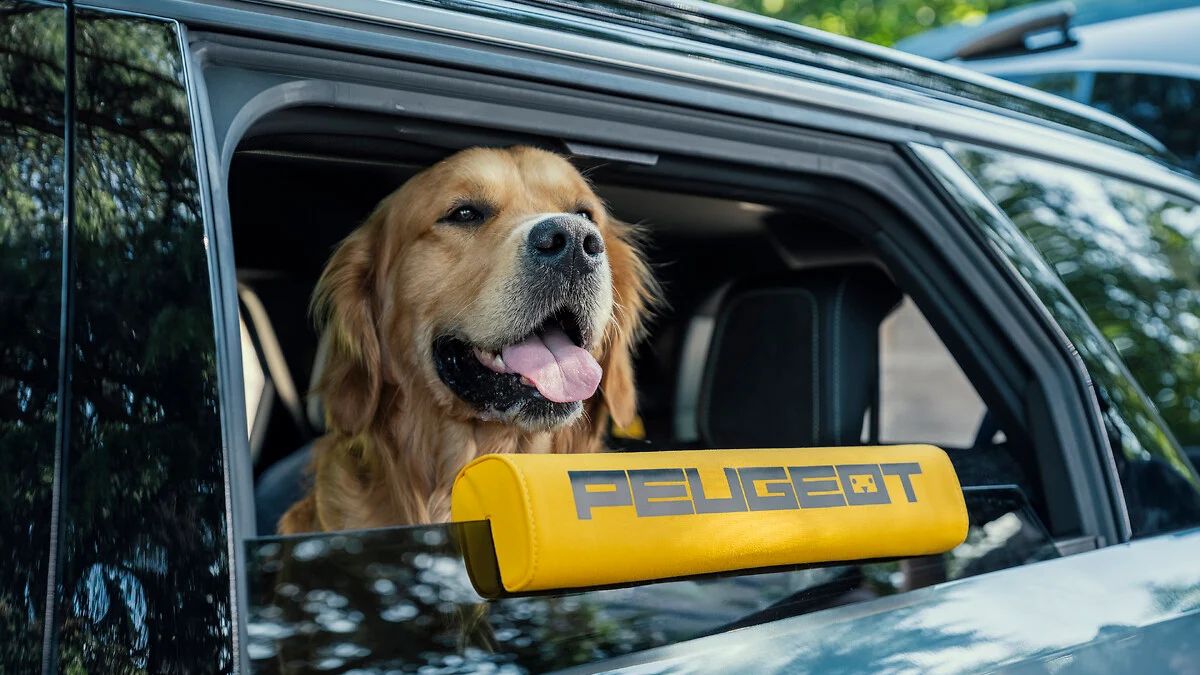 Auto by mohlo přilákat ztraceného psa. Peugeot zkoumá nový segment doplňků