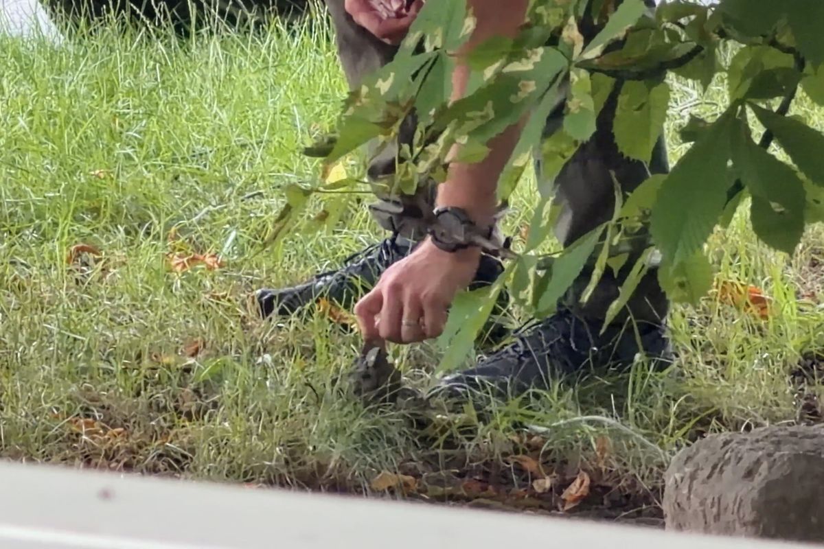 Magnetičtí lovci vytáhli z potoka v Praze ruční granát, zasahovala policie