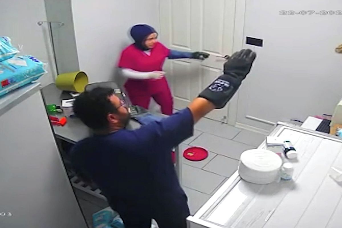 Kočka v Turecku obrátila ordinaci vzhůru nohama, odnesl to i lustr