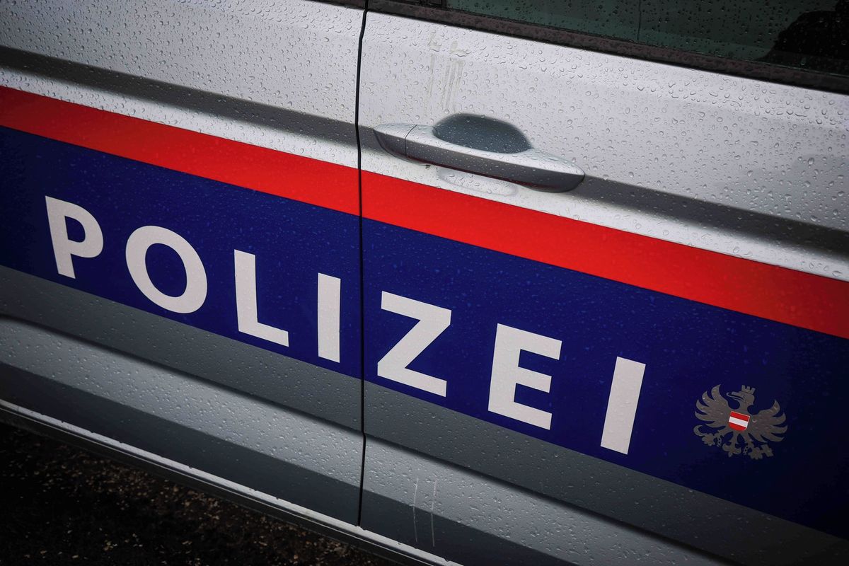 Vyletěl na kole z cesty a narazil do stromu. Český chlapec se v Rakousku těžce zranil