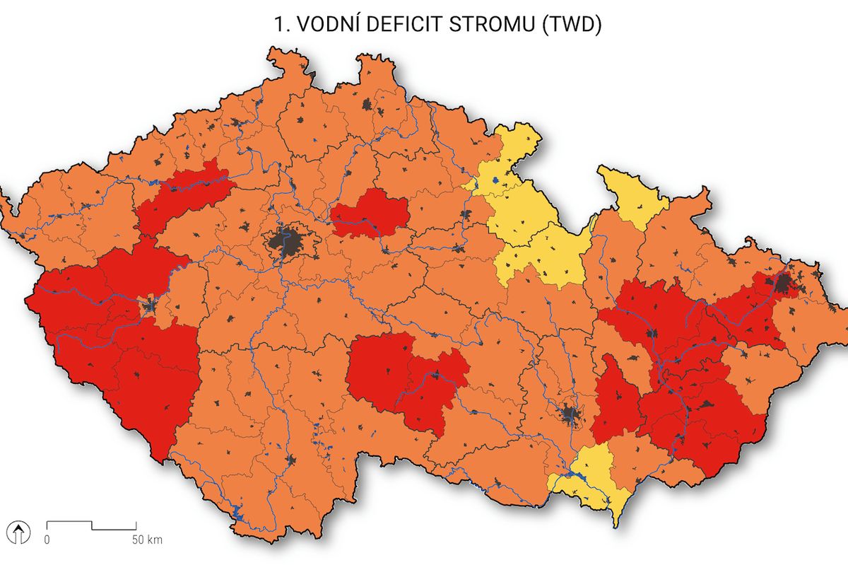 České lesy trpí suchem. Měli bychom začít testovat dřeviny běžné ve Středomoří, říká dendrolog