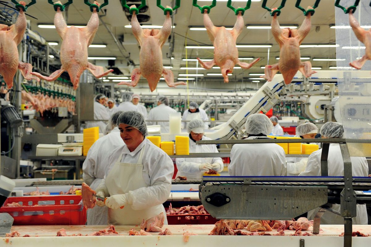 Po smrti uklízečky ve firmě z Agrofertu odhalila inspekce pochybení agentury. Ani po roce s ní nezahájila řízení