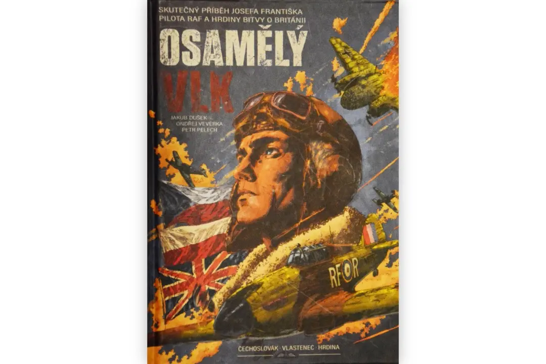 RECENZE: Osamělý vlk by potřeboval širší kontext a lepší vysvětlení detailů
