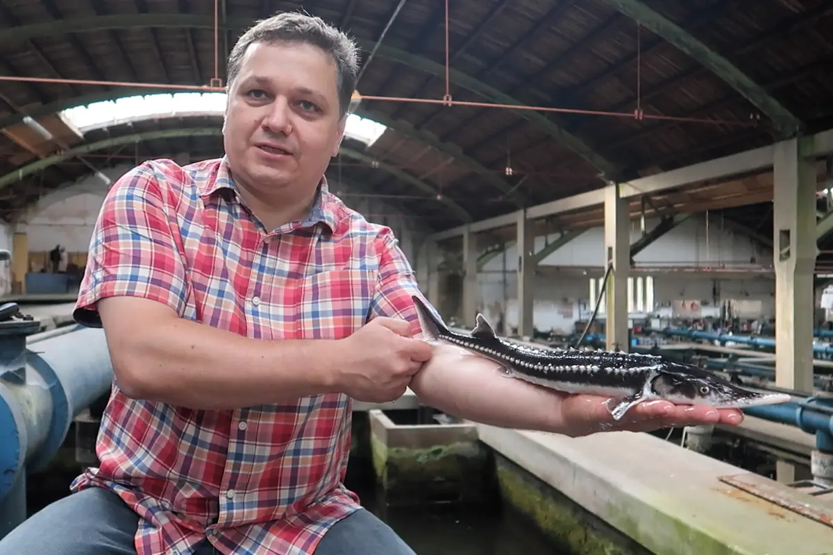 Šance pro světový unikát. Plzeň začala s obnovou industriálního vodárenského skvostu