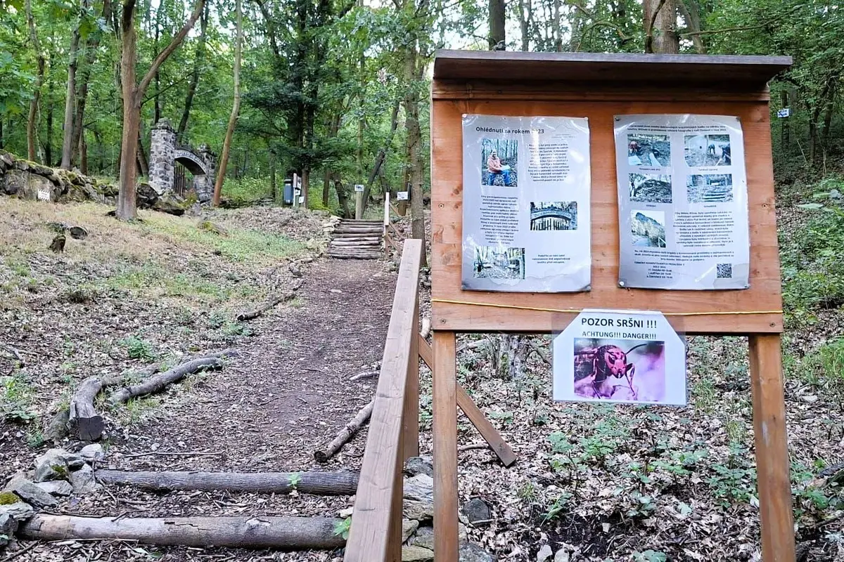 Sršni řádí podél cesty na Bořeň na Teplicku, turisté mají po jejich bodnutí alergickou reakci