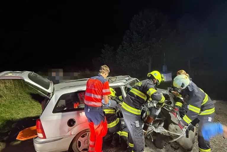 Řidič na Českobudějovicku vběhla do cesty prasata, tři zranění