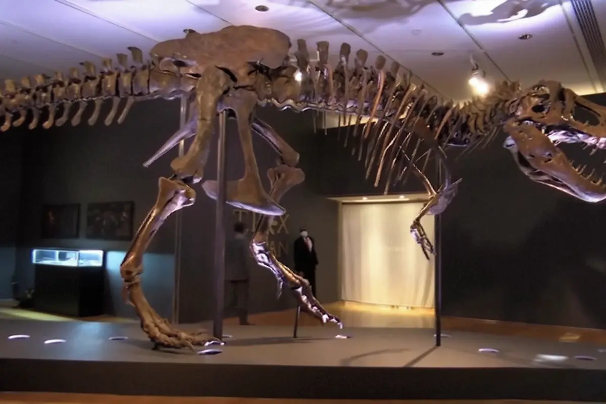 Tyranosauři měli stejnou tělesnou teplotu jako lidé