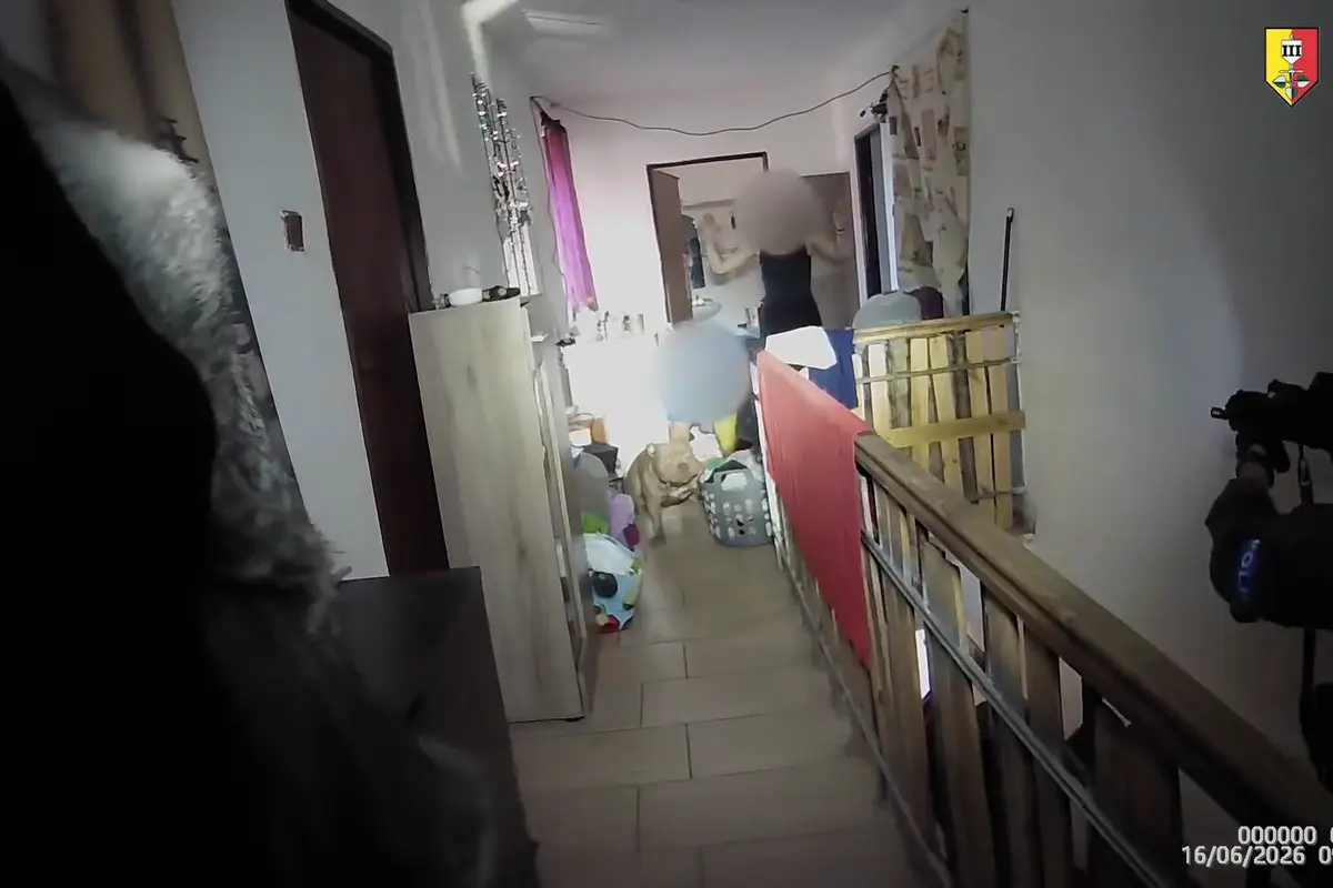 Drogy, zbraně a milion v hotovosti. Muži z Lounska chyběl jen řidičský průkaz