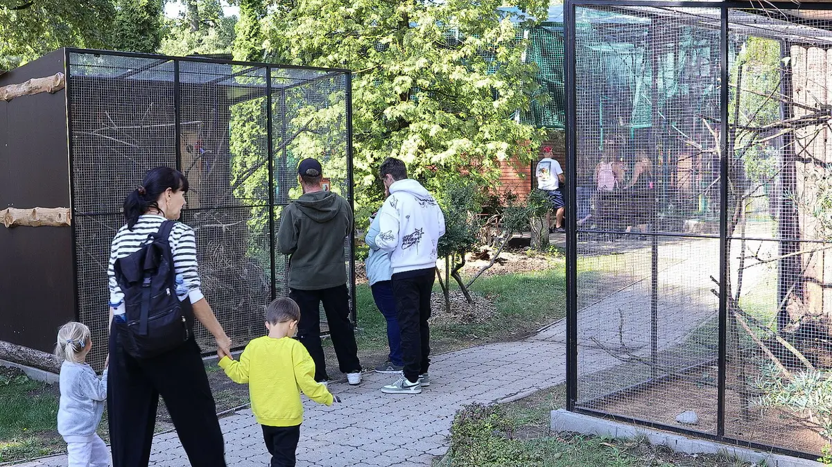 Hodonínskou zoologickou zahradu oživila papouščí stezka mezi voliérami