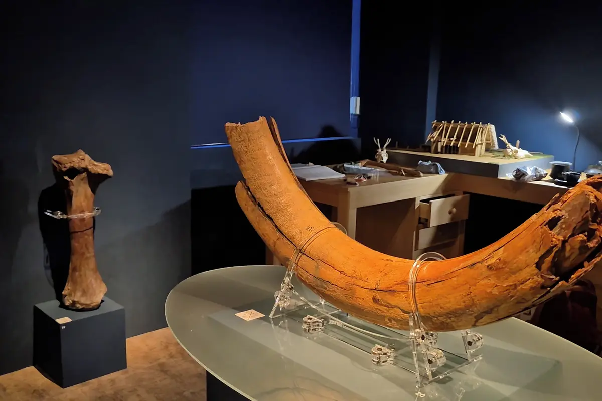 Ujasněte si, co je pazourek, říká archeoložka. Výstava nabídne i akční hodiny dějepisu