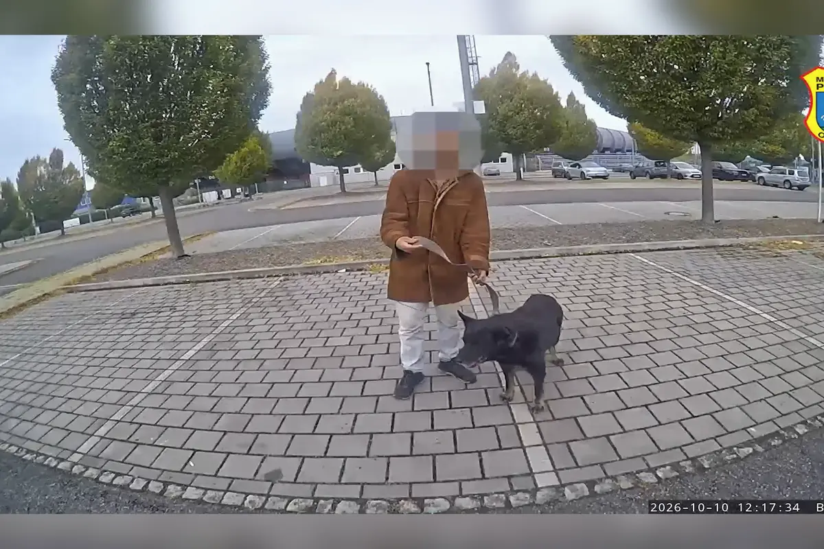 On tam byl sám, vysvětloval zloděj strážníkům v Ostravě, proč ukradl psa z cizí zahrady