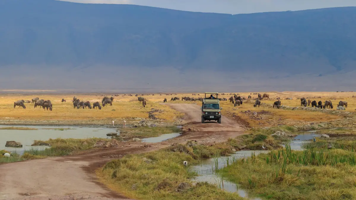 Tanzanie zavedla povinné cestovní pojištění pro turisty. Bez něj je do země nepustí