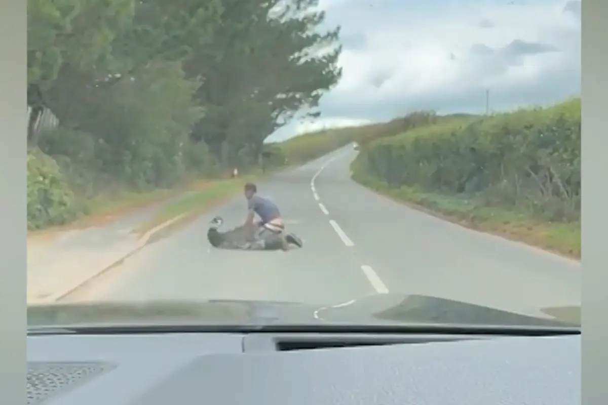 Muž v Anglii zápasil na silnici s uprchlým ptákem emu. Motorista natáčel