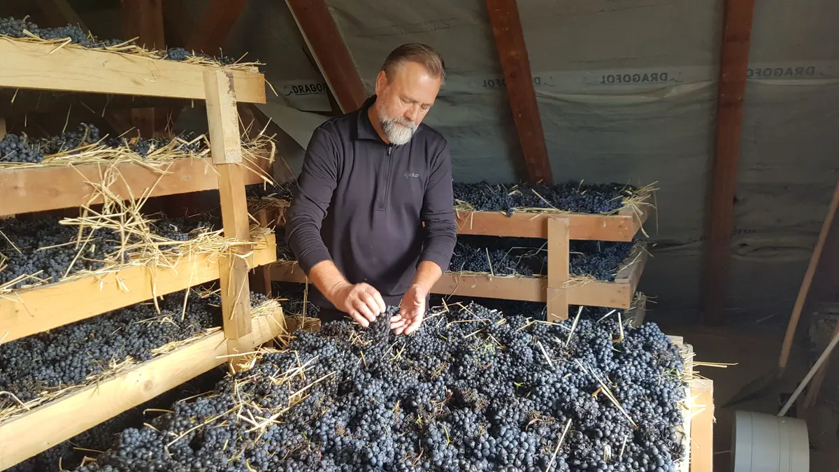 Frankovce ustlali na lůžku z žitné slámy. Odpočívat bude čtyři měsíce