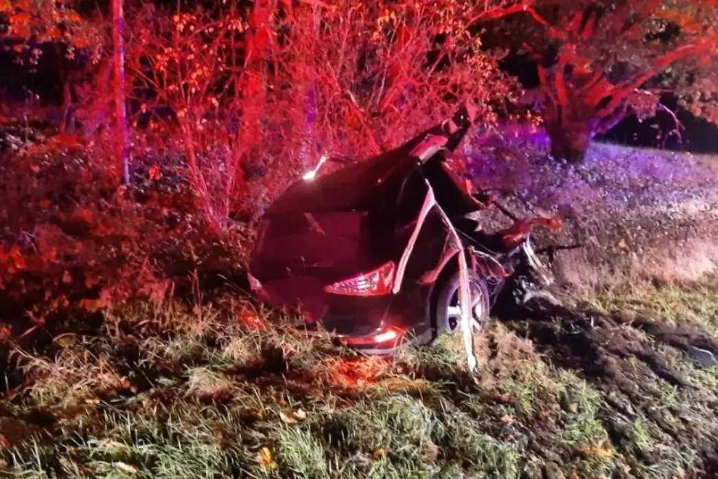 Auto se po nárazu rozpůlilo. Na jihu Čech zahynul řidič audi