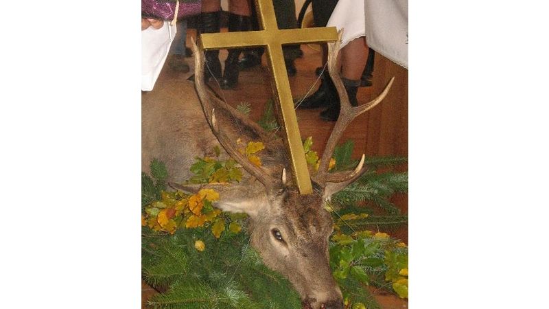 Ozdobou Hubertských slavností bude i letos jelen se zlatým křížem
