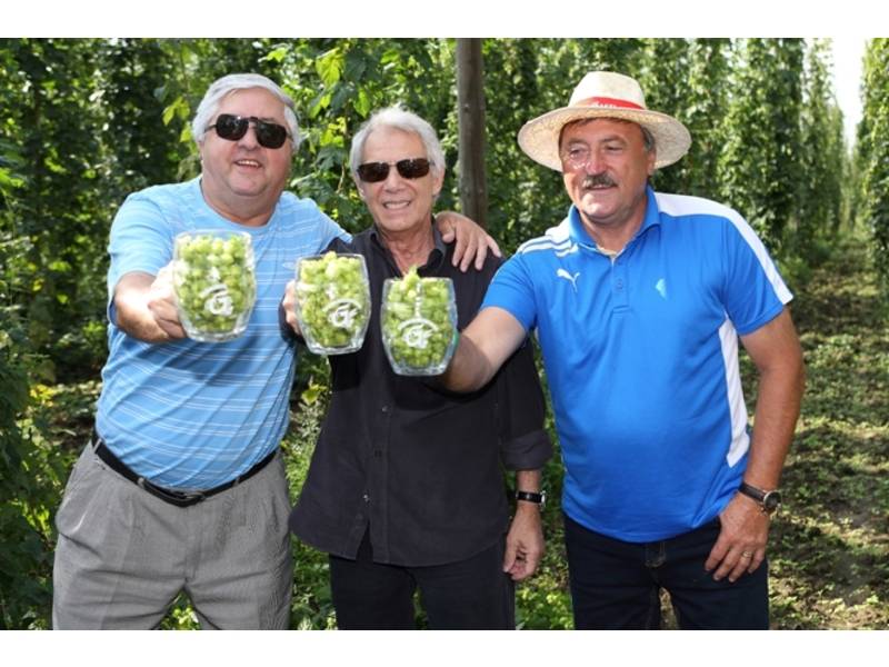 Miloval i fotbal. Na snímku Karol Dobiáš, Josef Laufer, Antonín Panenka