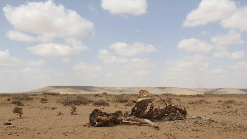 Následky sucha v Somálsku