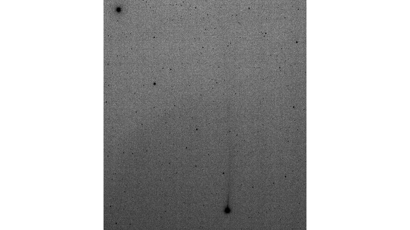 Negativ fotografie komety na ranní obloze za svítání. Právě na negativu nejlépe vynikne hlava komety a délka jejího ohonu. 