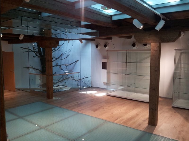 V nové moderní muzejní expozici se původní dřevěné prvky kloubí s moderními stavebními materiály, jakými jsou sklo a ocel.