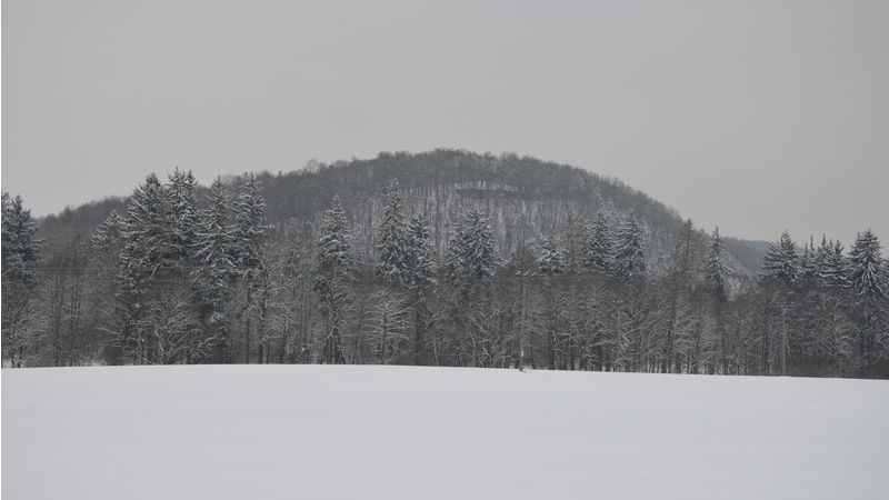 Prácheň - pohled ze silnice Horažďovice-Sušice. Mezi stromy na vrcholu jsou patrné zbytky opevnění. 