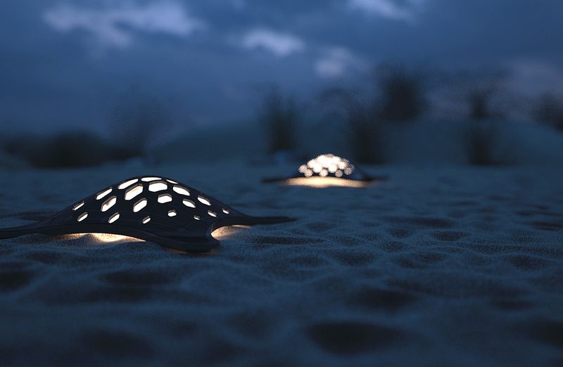 Turtle Solar Lighting System je název projektu venkovního osvětlení využívajícího solární energii ve tvaru krunýřů mořských želv. Autorem je Konstantinos Kallipolitis z Řecka.