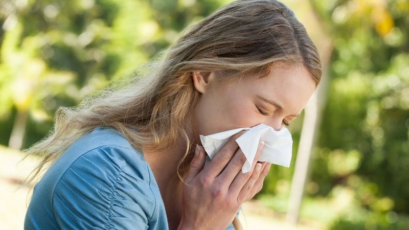 Pokud lidé svou alergickou rýmu neřeší, zánět zasáhne i jejich průdušky.  