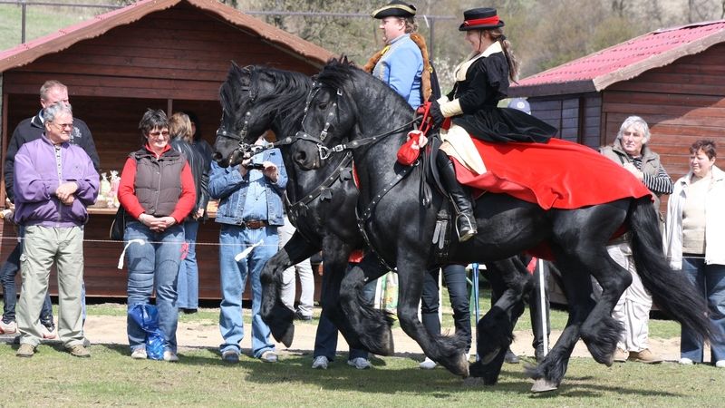 Velká koňská show v Ředhošti - Vítězná drezura fríských koní