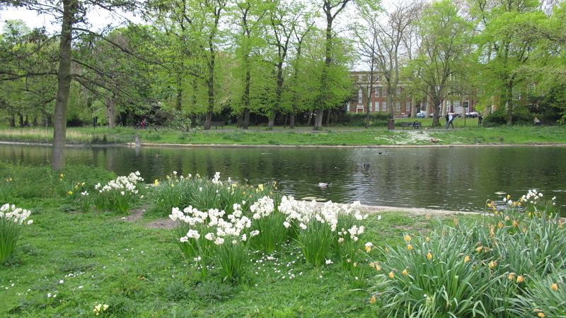 Hyde Park v Londýně