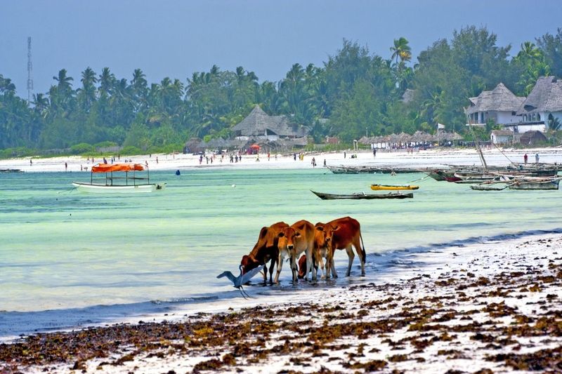 Zanzibar – to je opojný koktejl exotiky, romantiky a různorodých kultur.