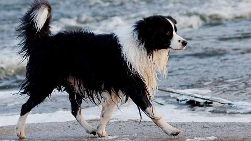 Vánoce na blátě. Až do svátků s nadprůměrnými teplotami