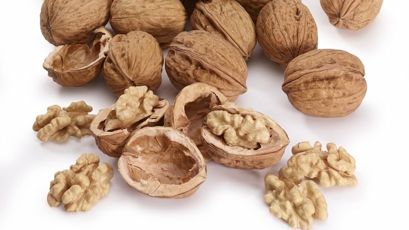 Vlašské ořechy jsou plné velmi kvalitních živin.  