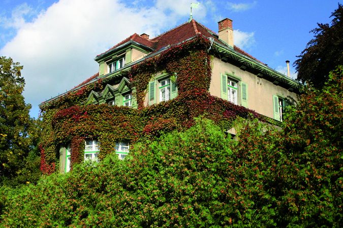 Romantická vila s adresou: El. Krásnohorské 34, čp. 864, Děčín.