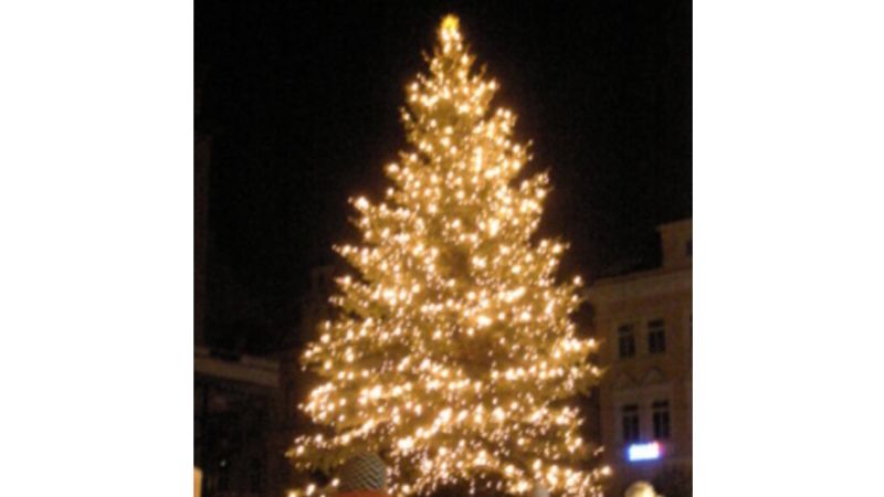 Vánoční strom na Mírovém náměstí v Jablonci nad Nisou