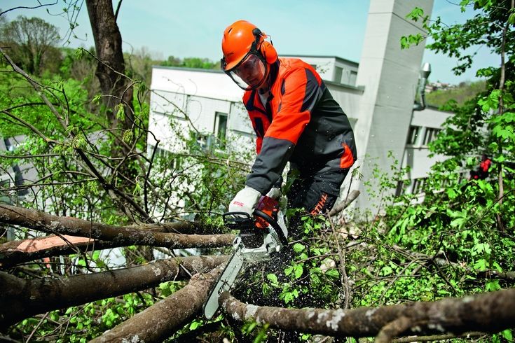 Jestliže váš pozemek splňuje potřebné podmínky, můžete si na něm stromy kácet podle svých potřeb.