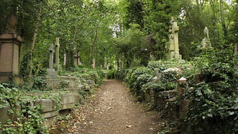 Hřbitov Highgate má svoje kouzlo. Ač mírně děsivé.