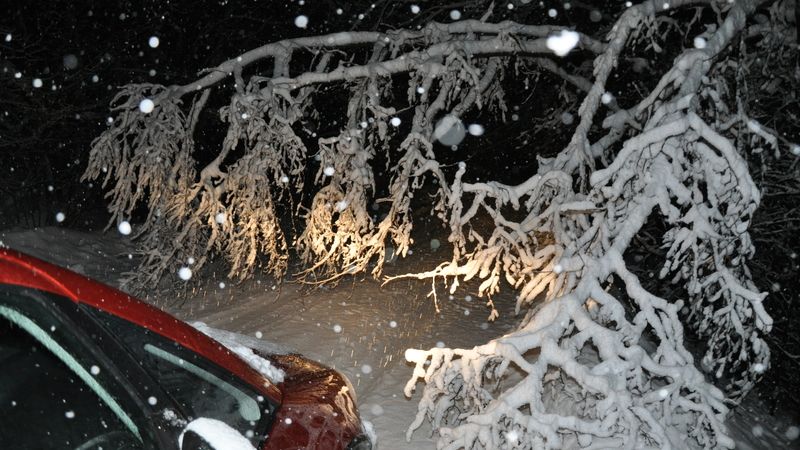 Dopravu v Krkonoších omezují stromy popadané na silnici