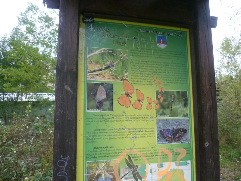 Na sedmi zastávkách lze získat podrobné informace o stromech, rostlinách, ptácích, plazech, savcích a hmyzu, které lze v lesoparku pozorovat.