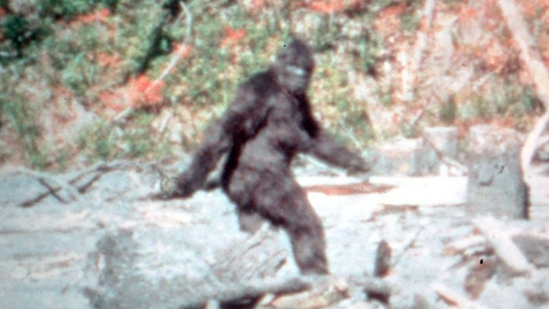 Záběr z krátkého filmu Rogera Pattersona z roku 1967, na němž údajně zachytil Bigfoota.