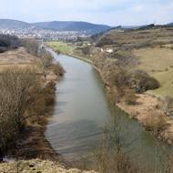 Berounka, v pozadí Beroun