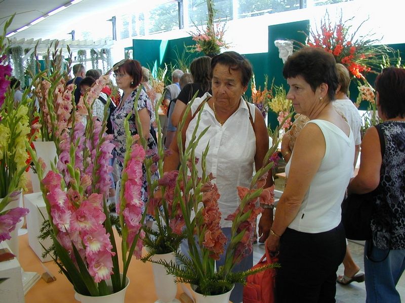 Krásu květin mohou nyní obdivovat návštěvníci na olomouckém výstavišti.