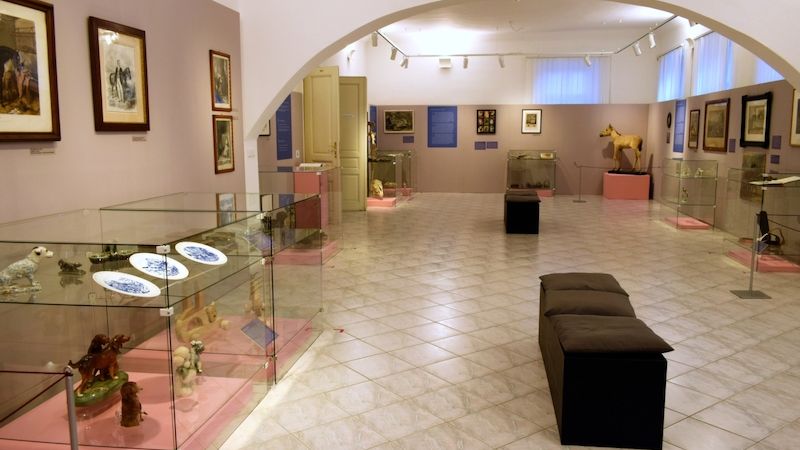 Aktuální výstava v Muzeu ve Šlapanicích