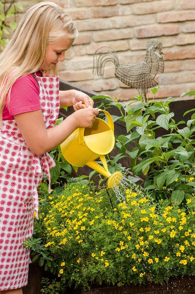 Malá zahradnice dobře ví, jak moc je voda pro zářivé aksamitníky v nádobě důležitá. 